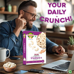 Cashew W240 Roasted salted - 250gm - Nutzilla